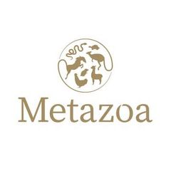 Metazoa